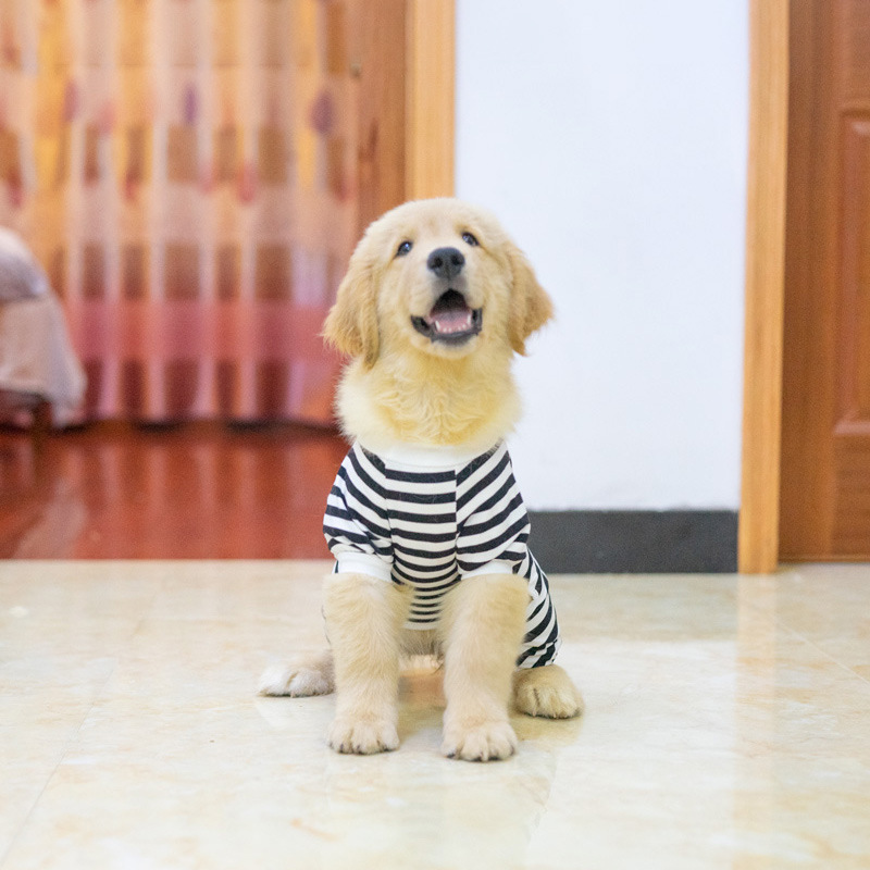 小中大型犬純綿四足縞家庭の毛落ち防止カバーラブラドール金毛テディ犬服|undefined
