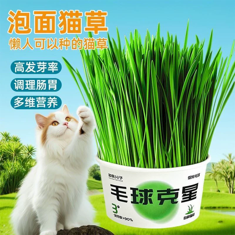 Закуски из травы для ленивых кошек, шарики для удаления волос, закуски для пищеварения, гидропонная кошачья трава, мгновенная лапша без почвы, кошачья трава в горшках, консервированная кошачья трава
