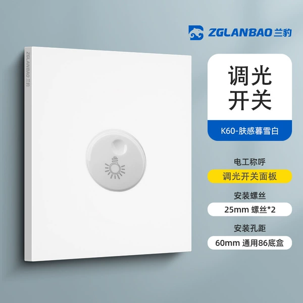 Light switch