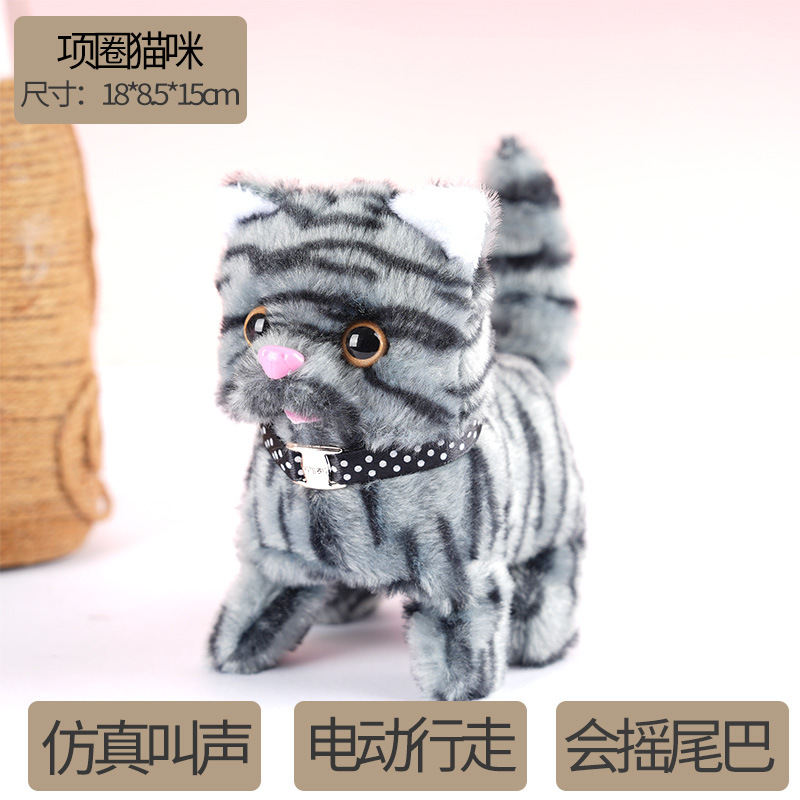 Collared kitten (gray stripe) - simulated meow sound - f