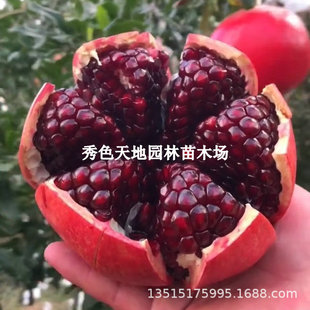 �ش�t����ܛ��ʯ�����o���ͺ����ԵطNͻ��˹ʯ����䮔��Y��