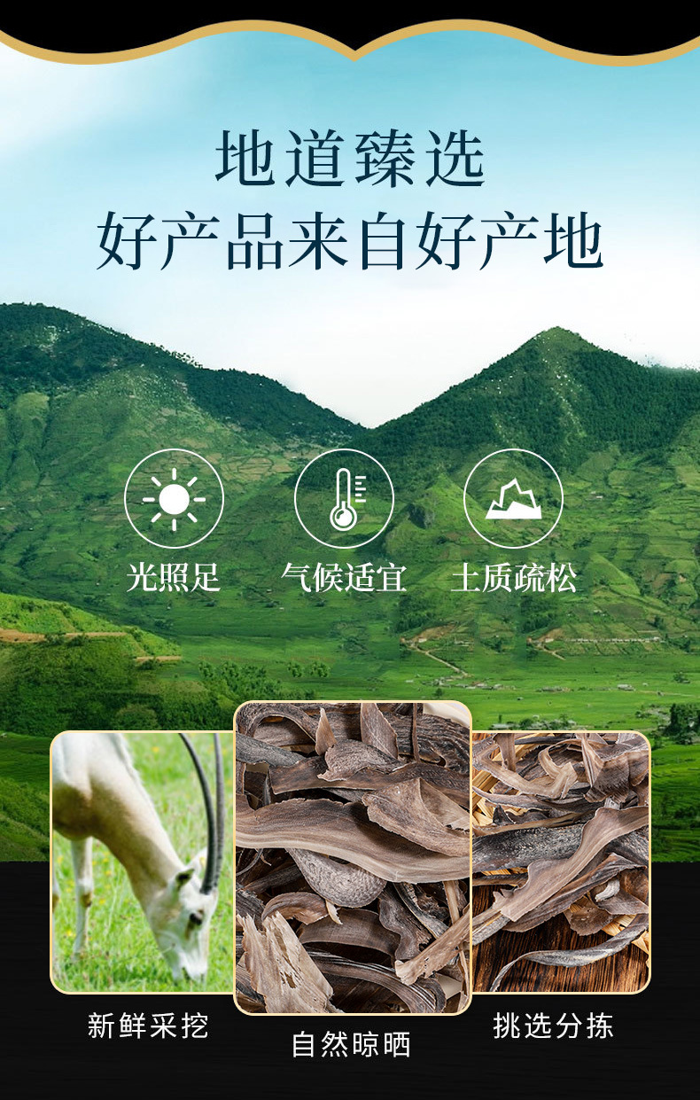 Water Buffalo Horn Slices (Bubalus bubalis) — Dried TCM Herb, Full Horn Tip, Bulk 500g overview
