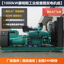 ����˹1000kW���ͷ�����鳧��ֱ����ҵ����Ӧ�����������
