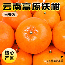 ϸɽָrˮ10FժɳɰǸٽ