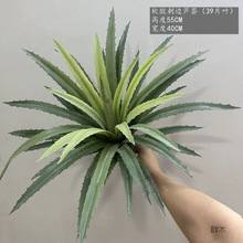 �¿���愦�鄦�m�J�C�����m���ԟᎧɳĮֲ���b٘�Gֲ�쾰�[