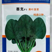 新品赛克F1黑叶肉菠菜种籽孑耐寒农家庭院香春秋季越冬播蔬菜种子