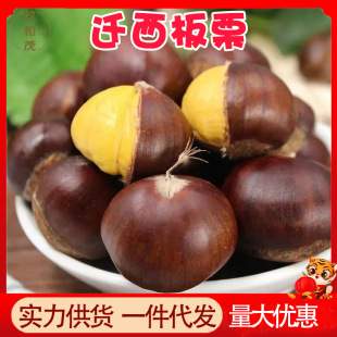 ���ںӱ��w������5�������������l�Fժ��؛�ǖ|��3�����rë������