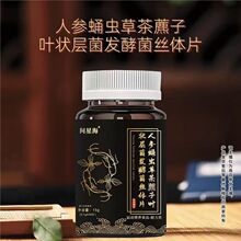 【直播同款】问星海人参蛹虫草茶藨子叶状层菌发酵菌丝体片30片