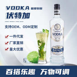 洋酒伏特加代发烈酒鸡尾酒基酒原味40度700ml酒吧现货厂家