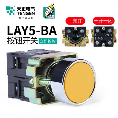 天正 LAY5按钮开关BA31启动35 42 51 61停止45平头点动自复位22mm