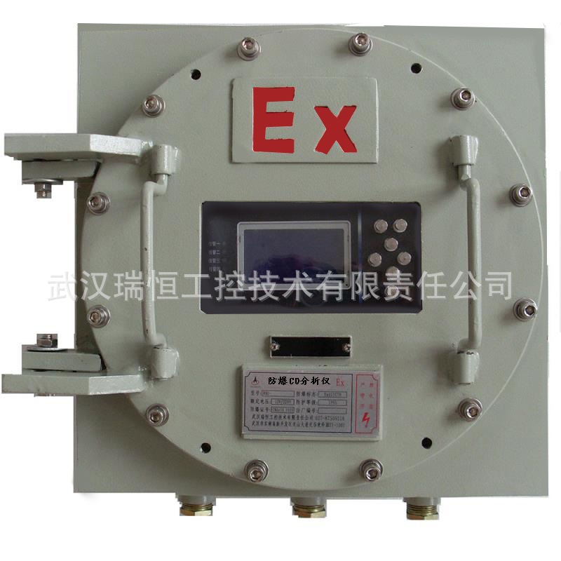 防爆 一氧化碳分析仪