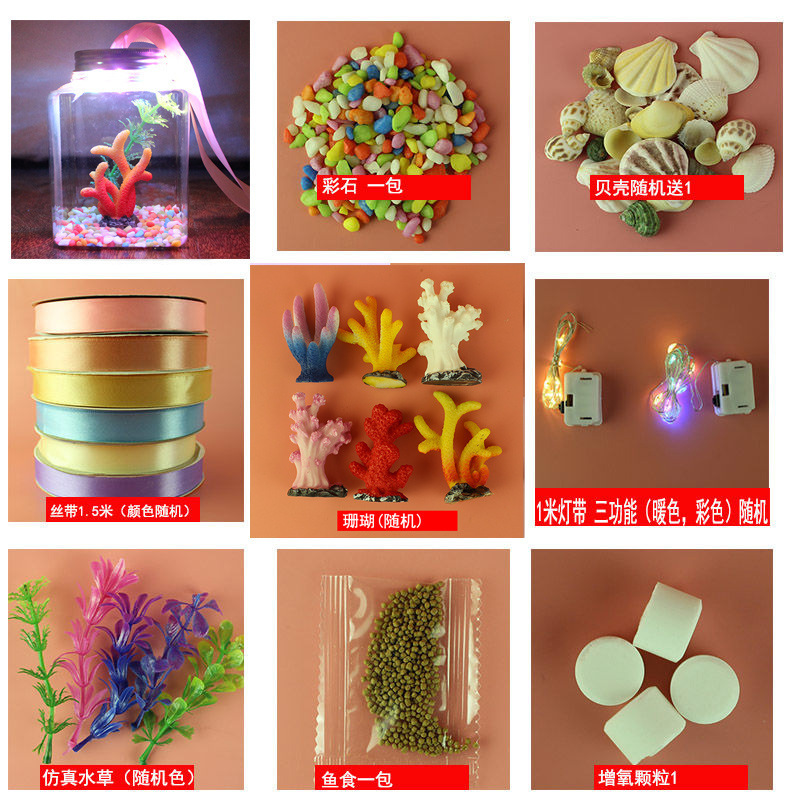 병+램프+잔디+돌+벨트+산소+산호