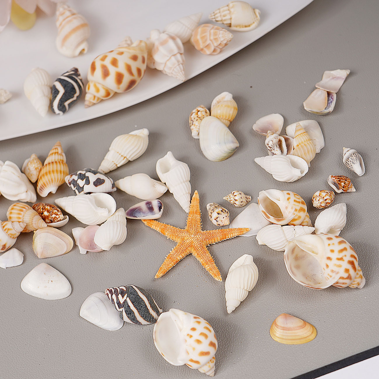 天然贝壳小海螺米螺小海星diy风铃配饰海洋材料包微景观造景配件