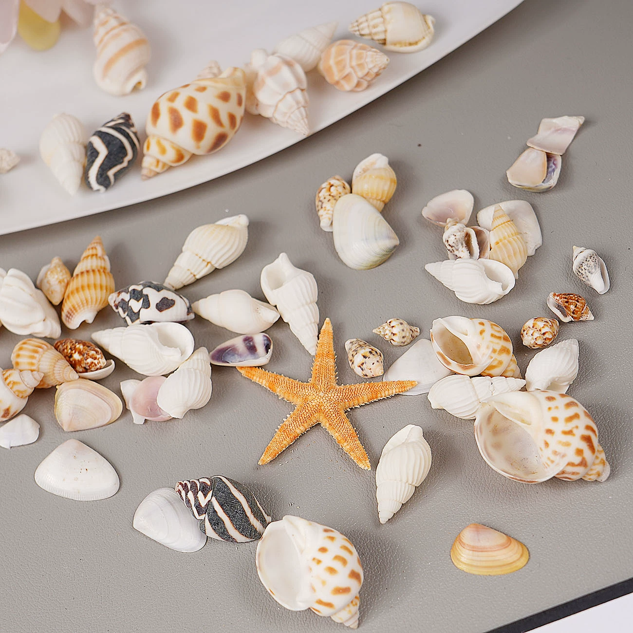 Натуральная ракушка маленькая раковина маленькая раковина маленькая морская звезда diy колокольчик аксессуар морской материал пакет микро ландшафтный дизайн аксессуары