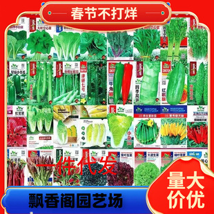 һ�����l�߲˷N�Ӵ�ȫ�ļ��m���L���Ǽܶ���ͥ�̨����¶��С�ˈ@