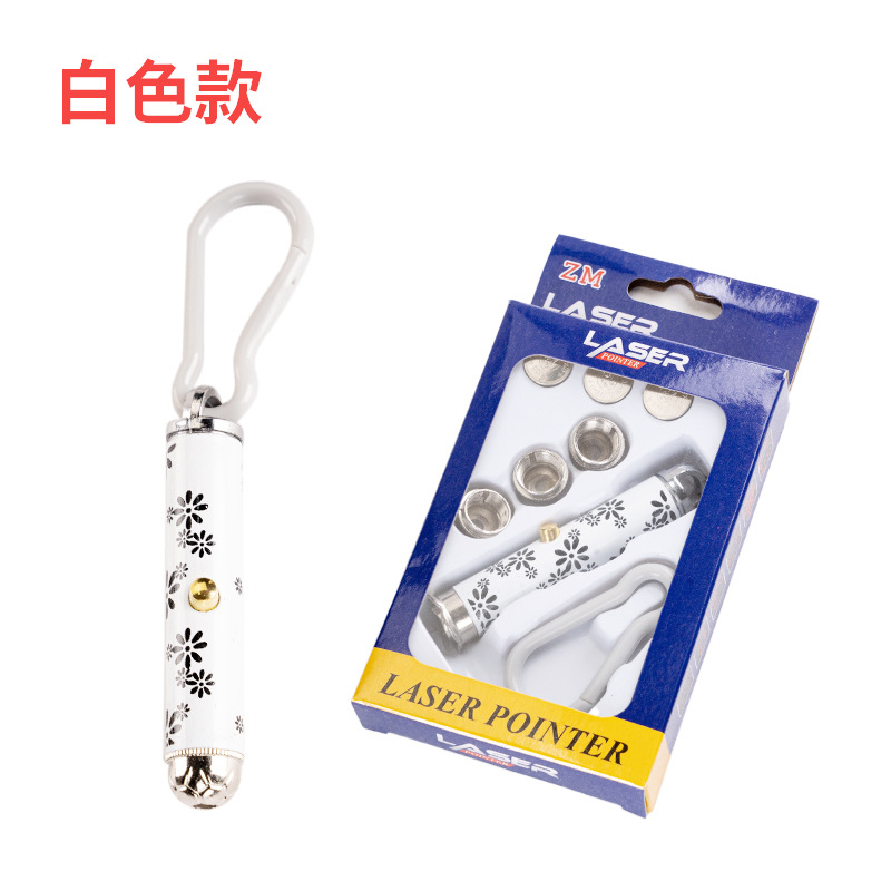 Laser pen, infrared and ultraviolet flashlight toy, multifunctional money detector, LED mini keychain, cat toy