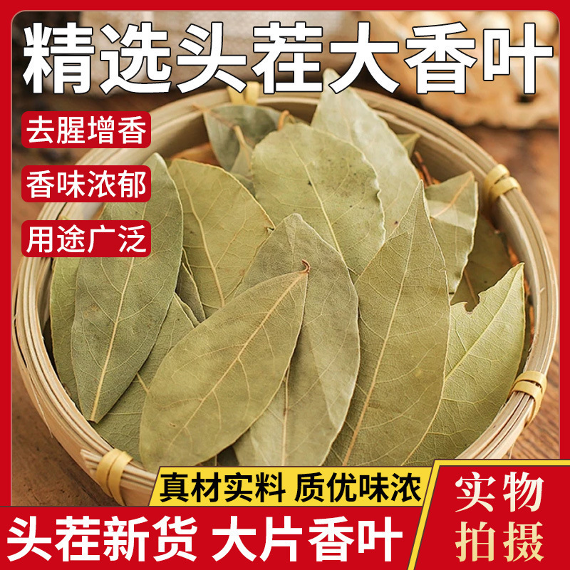 Guangxi Fragrant Leaves Natural Laurel Leaves Selected Spices 500g Seasoning Powder for Commercial Use, Also Available as Powder, Cinnamon, and Star Anise Guangxi Fragrant Leaves Natural Laurel Leaves Selected Spices 500g Seasoning Powder for Commercial Use, Also Available as Powder, Cinnamon, and Star Anise