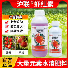 ���t�r�t���~��ʸ��׸�⛸��ٹ����ݮ���������ɫ�����Dɫ��