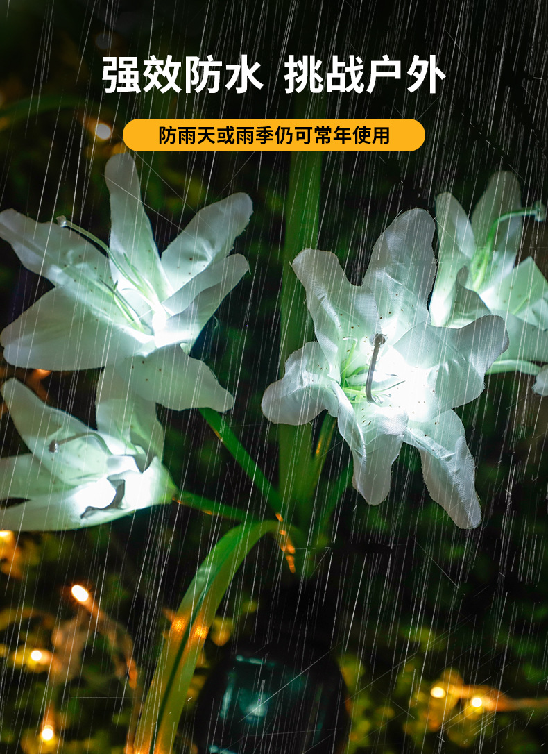 2_04.jpg?x-oss-process=image/format,png