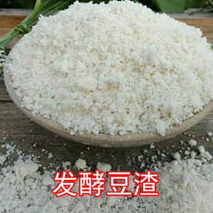 �l�Ͷ��� ������ ���� ��~�D��