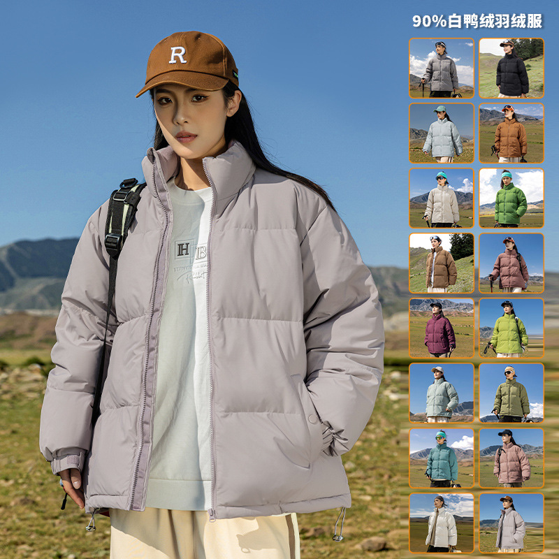 보라색 비둘기 색상