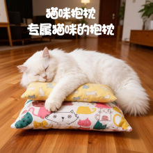 猫咪抱枕抱踹内含响纸猫薄荷木天蓼解压自嗨猫咪玩具枕头跨境新品