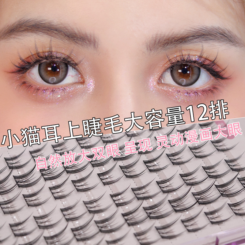 Reprehenderit qui in ea