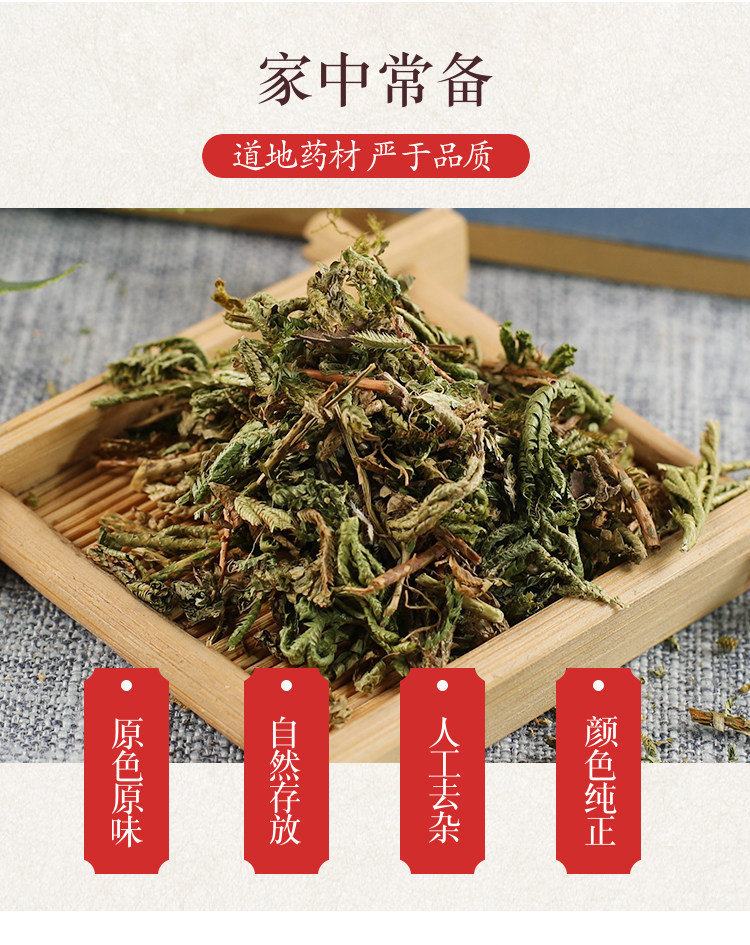 Premium Wild Shi Shang Bai 500g Dried Selaginella Herb Traditional TCM Botanical overview
