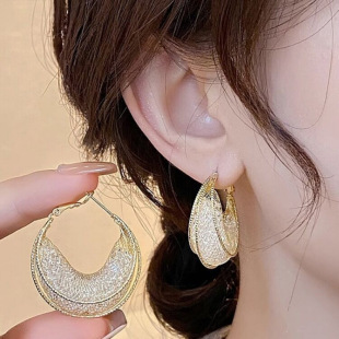 Light Luxury Sparkling Diamond Earrings for Women, Niche Design Earrings, Circle Exaggerated Earrings, Earrings, Earrings, High-End Jewelry
