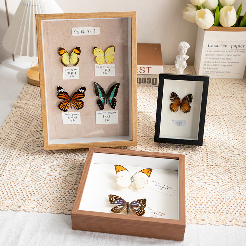 Hollow photo frame decoration handmade diy real butterfly a4 insect notebook box three-dimensional frame display frame picture frame depth Hollow photo frame decoration handmade diy real butterfly a4 insect notebook box three-dimensional frame display frame picture frame depth