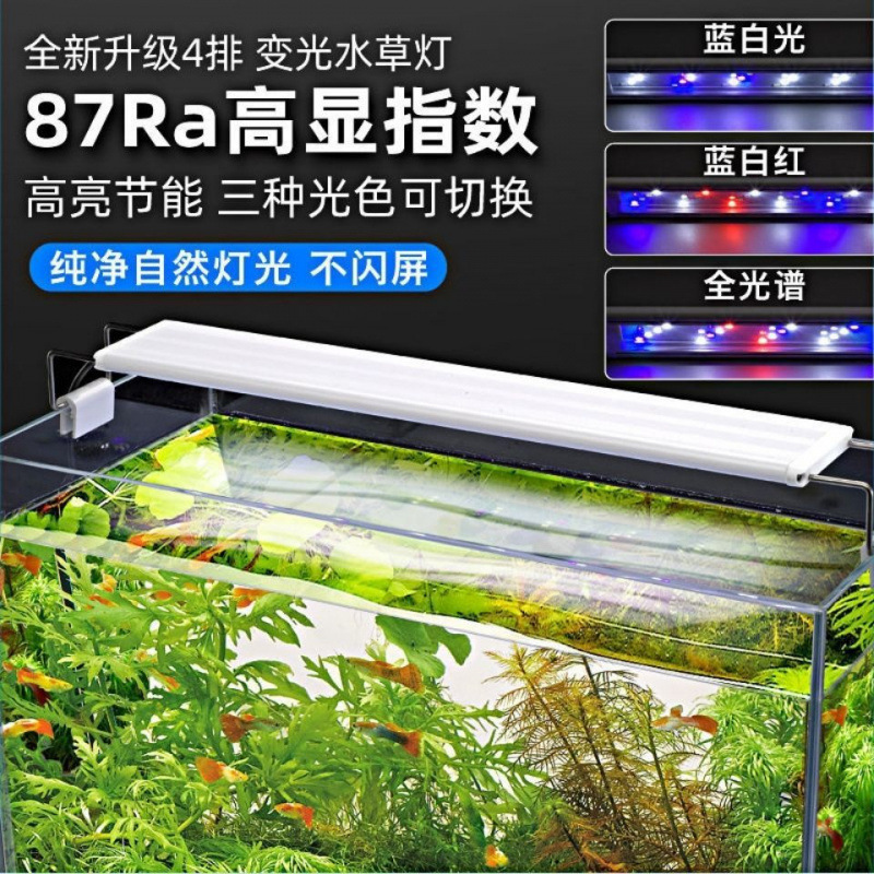 LED鱼缸灯专用爆藻灯超亮水灯鱼缸造景灯小型节能灯支架灯夹灯厂|undefined