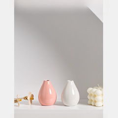 Longli Porcelain Classic Ceramic Aroma Diffuser Creative Home Mini Ceramic Vase Ornament Decor Hydroponic Small Flower Pot Plump