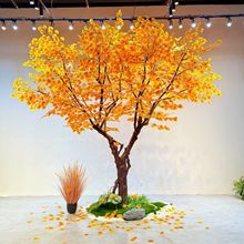 ��������ט�������y�Ә�ͥԺ�̈�����ֲ���쾰�b��^�٘�