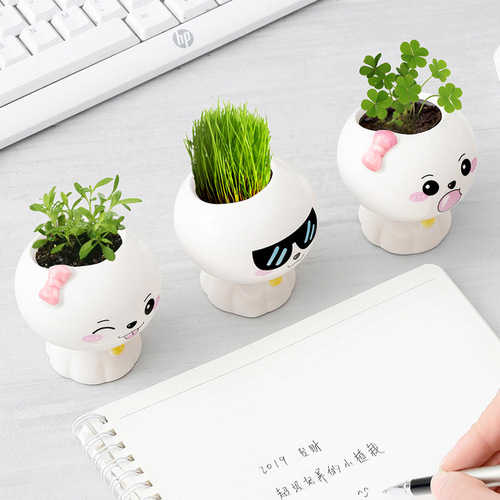 Creative micro-landscape small gifts, kindergarten birthday gifts, observing plant growth, small planting, primary school student prizes
