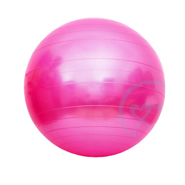 65cm 800 grams of PVC material light surface i fitness ball yoga…