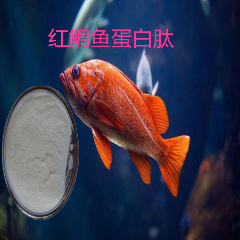 Japanese nippi Red Snapper Collagen Peptide Hipskin Fish Collagen Peptide Small Molecule Hydrolysis Easy Absorption