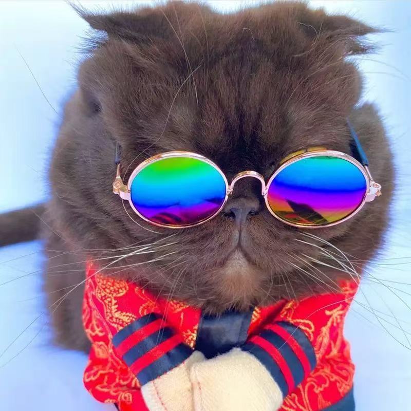 时尚宠物猫咪太子镜狗狗拍照眼镜配饰毛绒玩具网红太阳镜创意墨镜|undefined