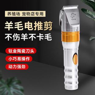 ��ë��Ƽ� �S�����l��ë��Ƽ�����ë��������ë늄�����