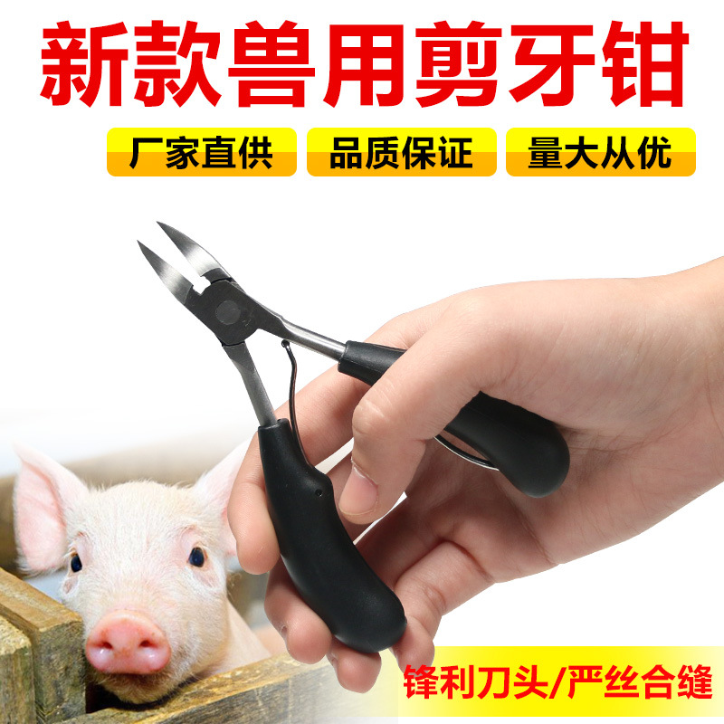 不锈钢剪机械牙钳猪用断齿钳精品剪齿钳兽用剪牙钳剪齿钳专业