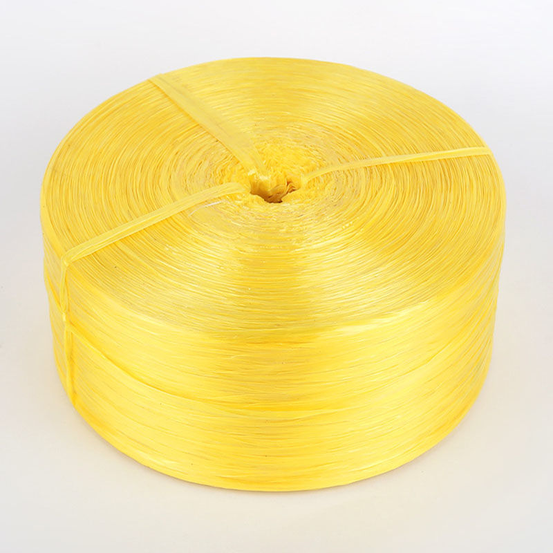 26061e2c-6850-44ad-9b0a-c9b3e6