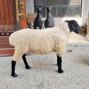 һ��һ����d��ģ������ū���_�������b[��չ�d�˱�Ӱҕ����