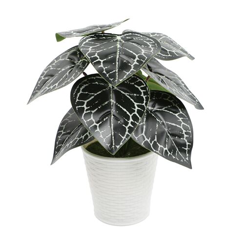 Cross-border new simulated plant potted furnishings Nordic internet celebrity indoor office desktop decoration green plants artificial flowers