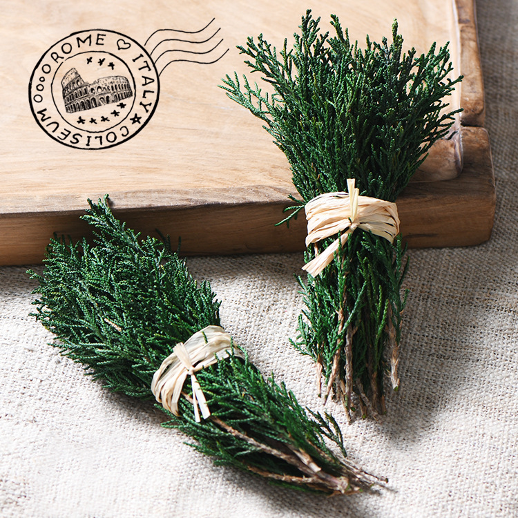 [Cypress leaves] Preserved flowers