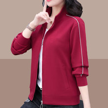 实体店货源春季爆款休闲短外套女立领卫衣春季东南亚爆款大码女装