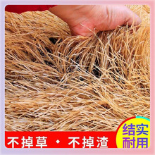 ?é�ݼٵ�������ë�ݷ�ˮ����r�Ҙ������b�ͤ����ͥԺ��