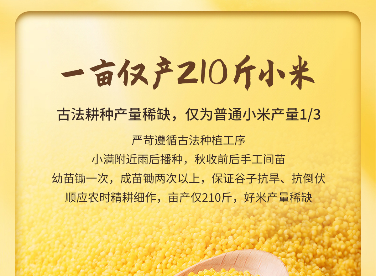 详情页 (21)
