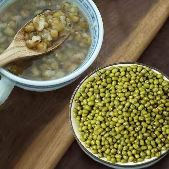 东北新绿豆100g-5斤颗粒饱满煲汤绿豆沙甜品发豆芽绿豆子容易批发|undefined