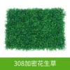308 encrypted peanut grass