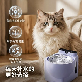 足浴电器;足底理疗;泡脚盆沐浴桶