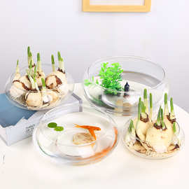 水培玻璃花瓶透明大号乌龟鱼缸水养植物器皿铜钱草睡碗莲水仙花盆